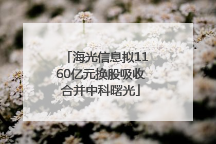 海光信息拟1160亿元换股吸收合并中科曙光