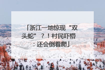 浙江一地惊现“双头蛇”？！村民吓懵：还会倒着爬