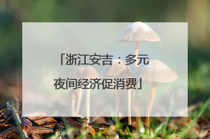 浙江安吉：多元夜间经济促消费