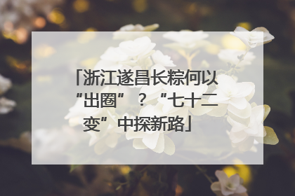 浙江遂昌长粽何以“出圈”？“七十二变”中探新路