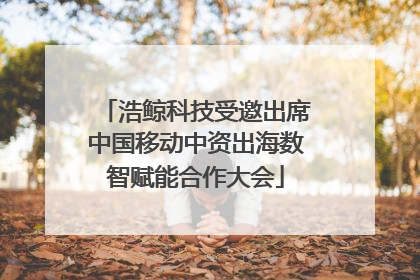 浩鲸科技受邀出席中国移动中资出海数智赋能合作大会