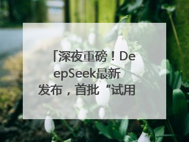 深夜重磅！DeepSeek最新发布，首批“试用体验”出炉→