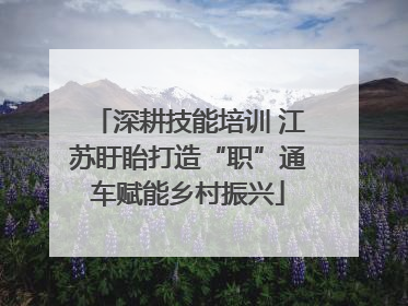 深耕技能培训 江苏盱眙打造“职”通车赋能乡村振兴