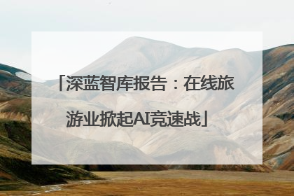 深蓝智库报告：在线旅游业掀起AI竞速战