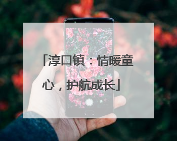 淳口镇：情暖童心，护航成长