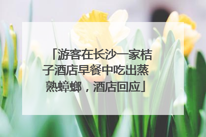 游客在长沙一家桔子酒店早餐中吃出蒸熟蟑螂，酒店回应