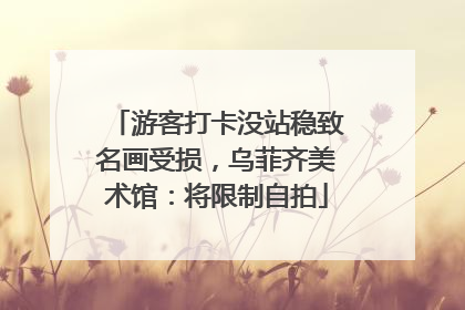 游客打卡没站稳致名画受损，乌菲齐美术馆：将限制自拍