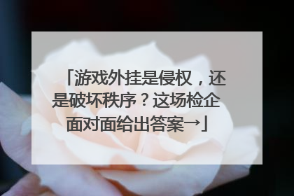游戏外挂是侵权，还是破坏秩序？这场检企面对面给出答案→