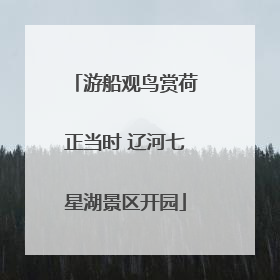 游船观鸟赏荷正当时 辽河七星湖景区开园