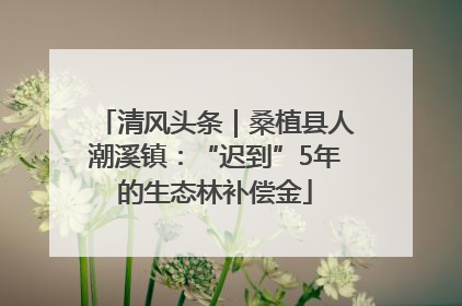 清风头条｜桑植县人潮溪镇：“迟到”5年的生态林补偿金