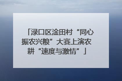 渌口区淦田村“同心振农兴粮”大赛上演农耕“速度与激情”