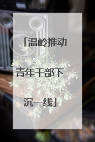 温岭推动青年干部下沉一线