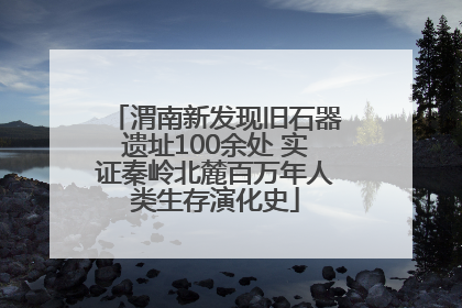 渭南新发现旧石器遗址100余处 实证秦岭北麓百万年人类生存演化史