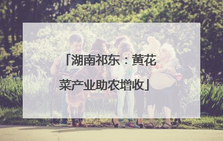 湖南祁东：黄花菜产业助农增收