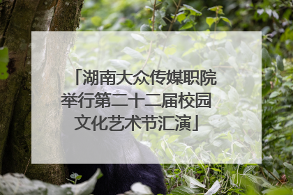 湖南大众传媒职院举行第二十二届校园文化艺术节汇演
