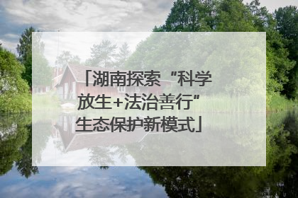 湖南探索“科学放生+法治善行”生态保护新模式