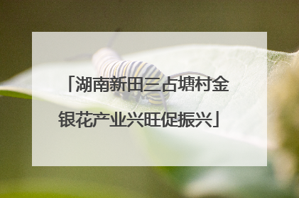 湖南新田三占塘村金银花产业兴旺促振兴
