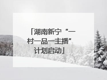 湖南新宁“一村一品一主播”计划启动