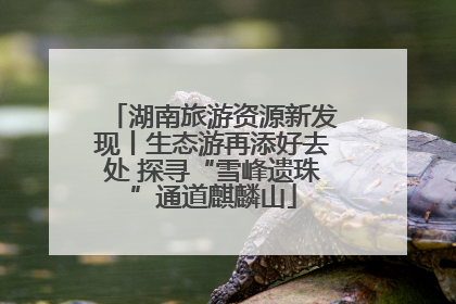 湖南旅游资源新发现丨生态游再添好去处 探寻“雪峰遗珠”通道麒麟山