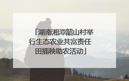 湖南湘潭韶山村举行生态农业共富责任田插秧助农活动