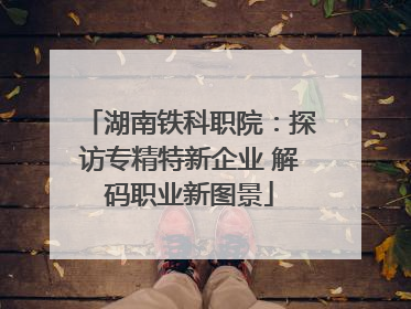 湖南铁科职院：探访专精特新企业 解码职业新图景