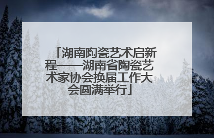 湖南陶瓷艺术启新程——湖南省陶瓷艺术家协会换届工作大会圆满举行