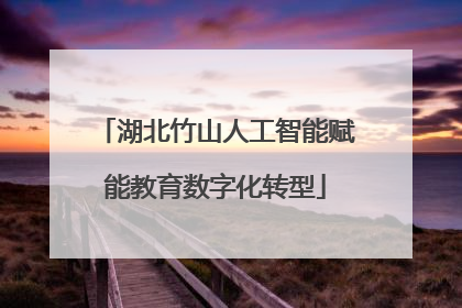 湖北竹山人工智能赋能教育数字化转型