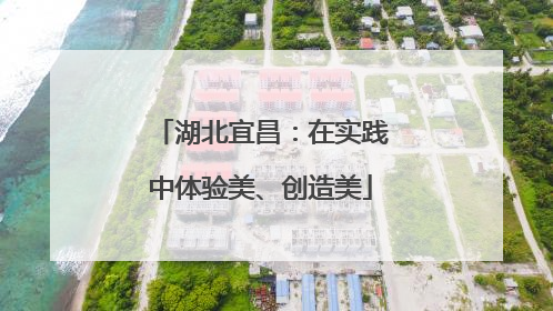 湖北宜昌：在实践中体验美、创造美