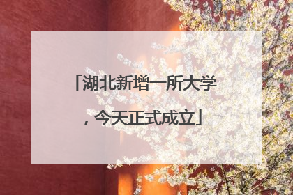 湖北新增一所大学，今天正式成立