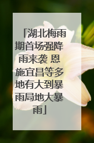 湖北梅雨期首场强降雨来袭 恩施宜昌等多地有大到暴雨局地大暴雨
