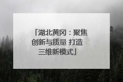 湖北黄冈：聚焦创新与质量 打造三维新模式