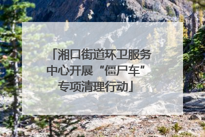 湘口街道环卫服务中心开展“僵尸车”专项清理行动