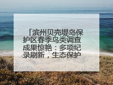 滨州贝壳堤岛保护区春季鸟类调查成果惊艳：多项纪录刷新，生态保护成效显著