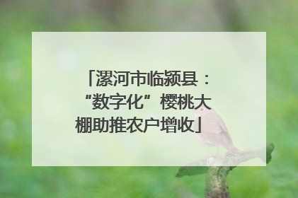 漯河市临颍县：“数字化”樱桃大棚助推农户增收