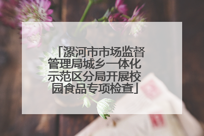 漯河市市场监督管理局城乡一体化示范区分局开展校园食品专项检查