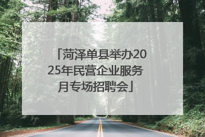 菏泽单县举办2025年民营企业服务月专场招聘会