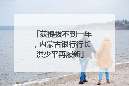 获提拔不到一年，内蒙古银行行长洪少平再履新