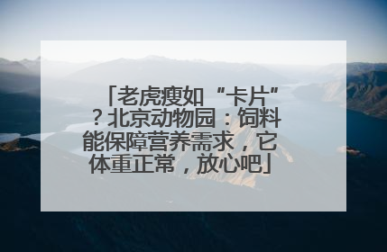 老虎瘦如“卡片”？北京动物园：饲料能保障营养需求，它体重正常，放心吧