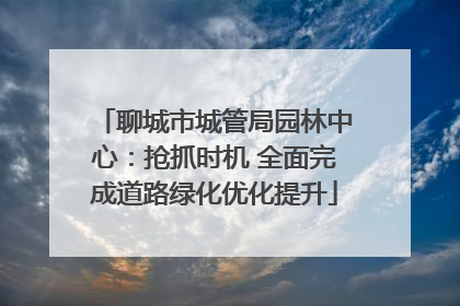 聊城市城管局园林中心：抢抓时机 全面完成道路绿化优化提升
