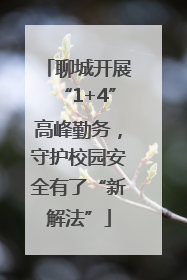 聊城开展“1+4”高峰勤务，守护校园安全有了“新解法”