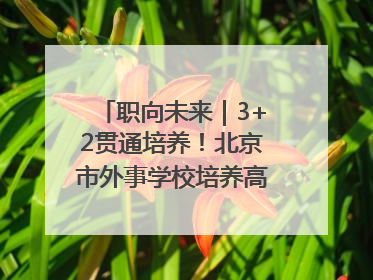 职向未来｜3+2贯通培养！北京市外事学校培养高端服务人才
