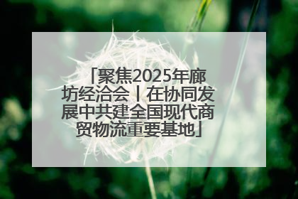 聚焦2025年廊坊经洽会丨在协同发展中共建全国现代商贸物流重要基地