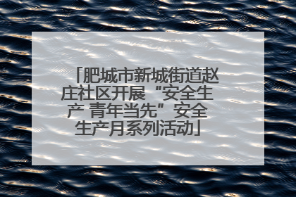 肥城市新城街道赵庄社区开展“安全生产 青年当先”安全生产月系列活动