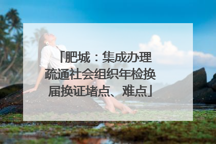 肥城：集成办理 疏通社会组织年检换届换证堵点、难点
