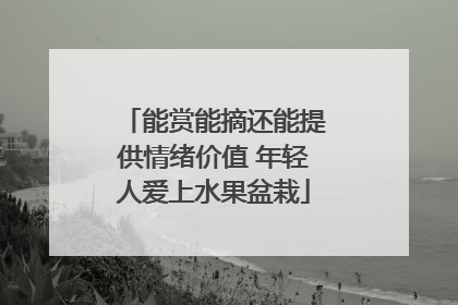能赏能摘还能提供情绪价值 年轻人爱上水果盆栽