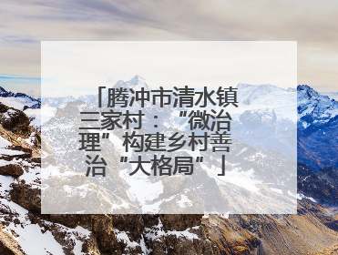 腾冲市清水镇三家村：“微治理”构建乡村善治“大格局”