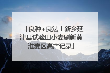 良种+良法！新乡延津县试验田小麦刷新黄淮麦区高产记录