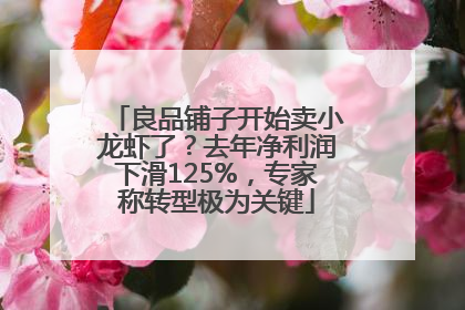 良品铺子开始卖小龙虾了?去年净利润下滑125%,专家称转型极为关键