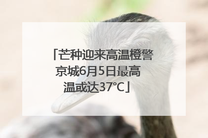 芒种迎来高温橙警 京城6月5日最高温或达37℃