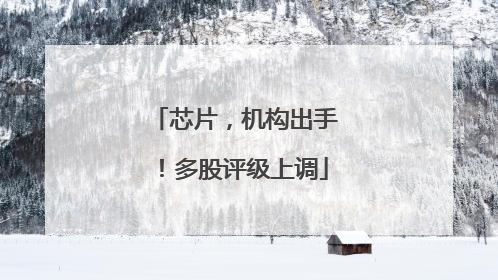 芯片，机构出手！多股评级上调